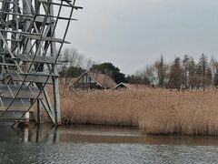 -苏州太湖湖滨国家湿地公园
