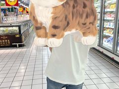 -大润发(张江店)