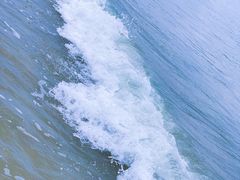 -舟山希尔顿酒店