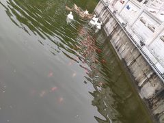 -西安汉城湖景区