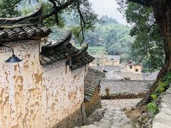-杨家堂村