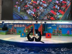 -成都浩海立方海洋公园