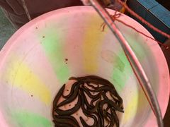 -盘龙黄鳝(盘龙居店)