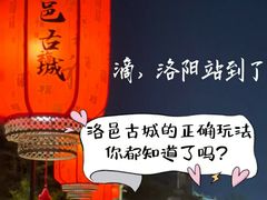 -一记洛阳菜·糖醋小排·水席(十字街店)
