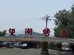 -望湖烤鱼