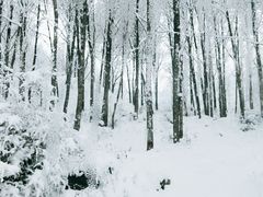 -太子岭滑雪场