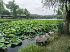 -承德避暑山庄景区