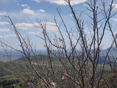 -香山公园