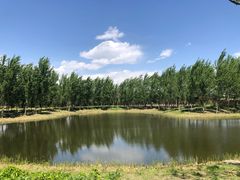 -东郊湿地公园