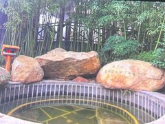 -观唐（国际）度假村温泉