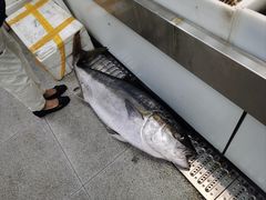 -桃源市场(解放路店)
