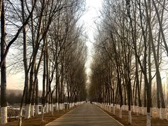 -东郊湿地公园
