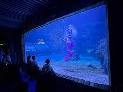 -左海海底世界