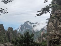 -黄山风景区