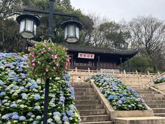 -苏州上方山国家森林公园