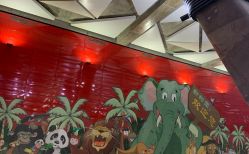 -广州健丽·去眼袋医疗美容机构