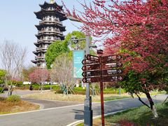 -洋湖国家湿地公园