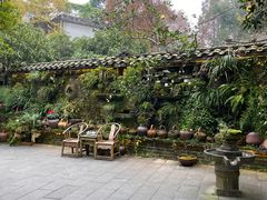 -青城甲(青城山店)