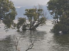 -大理洱海