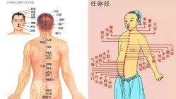 点击看大图 -玛莲朵·海菲秀冰珀科