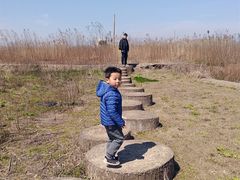 -上海都市菜园