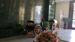 -脉道美容养生会所