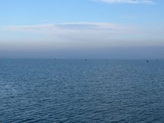-贡湖湾湿地公园