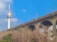 -龟山风景区-龟山电视塔