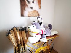 -Husky Go! 哈士奇体验馆·宠物咖啡厅狗咖