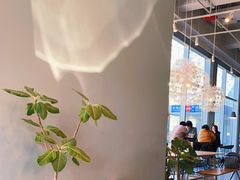 -dotcom coffee古点咖啡(致真大厦店)