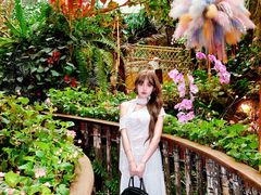 -正佳雨林生态植物园