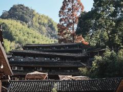 -林坑古村落