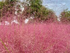 -汉长安城未央宫国家考古遗址公园