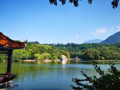 -深圳仙湖植物园