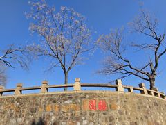 -无锡梅园公园