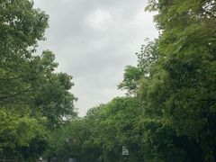 -钱塘江大桥