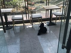 -蜜蜂小象·榴莲千层蛋糕(时代汇11栋店)