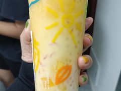 -宝莲城