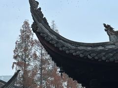-成都市文殊院