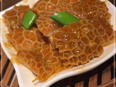 -点都德·毕德寮