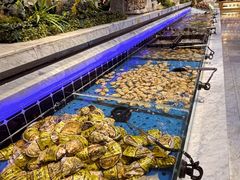 -川骄海鲜自助(河东店)