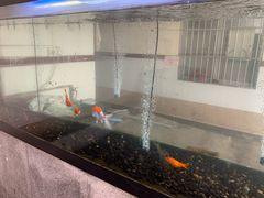 -广州东站汽车客运站