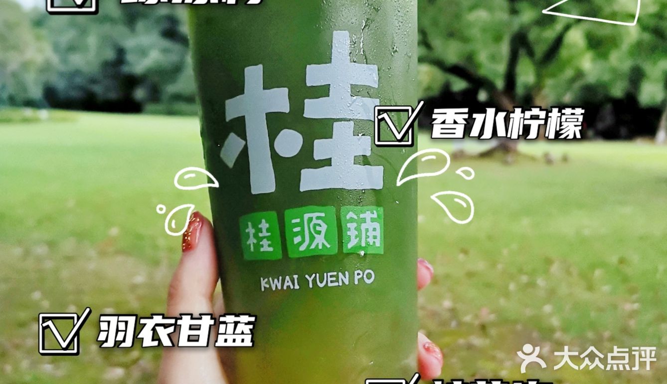 桂源铺的各种柠,最喜欢绿冻柠☑️