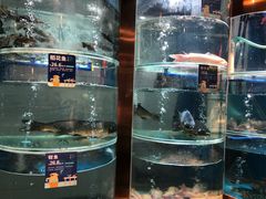 景观位-香坝坝鲜鱼火锅(春熙路店)