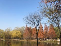 -石家庄市植物园