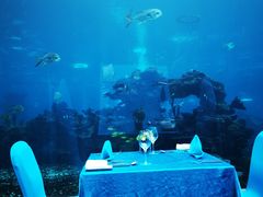 -海棠湾洲际-涛·海底餐厅·美人鱼·自助餐·海底隧道