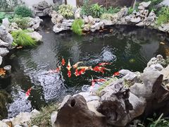 -鲤院·新中式美学·庭院餐厅(夫子庙店)