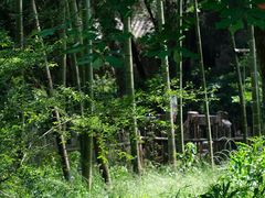 -楠溪江风景名胜区