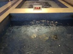 -水晶之星洗浴温泉汗蒸