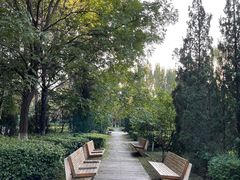 -长白岛森林公园